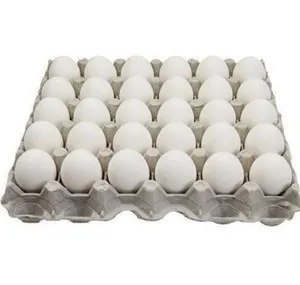 30 Pack Organic White Eggs